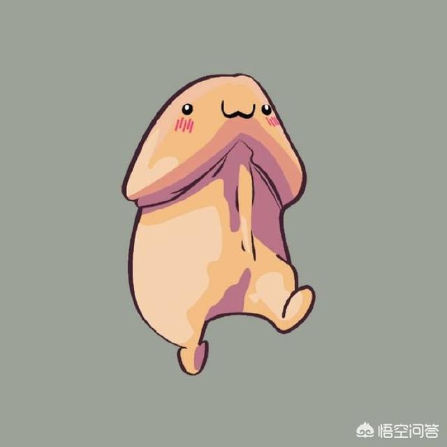 你见过最有个性的头像是什么？