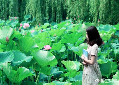 陈宗兴:武汉生物工程学院怎么样？