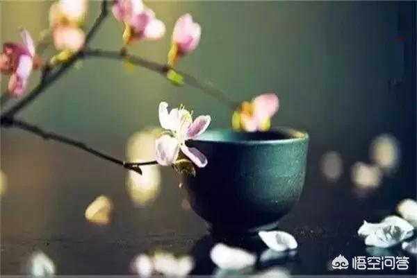 毕福剑说错什么话:无意说错了话，很纠结怎么办？