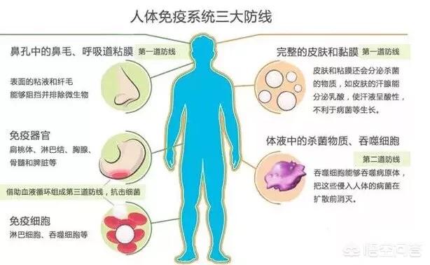 徐婷癌症:澳大利亚宣布战胜癌症是真是假？