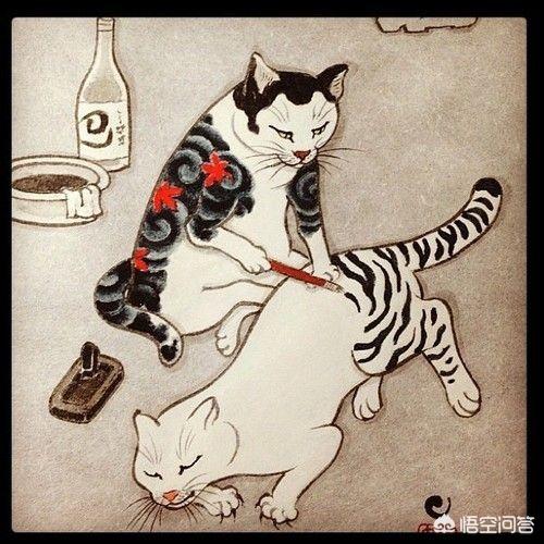 怎样画可爱的猫咪图片:怎么画小猫简笔画；小猫简单又可爱的画法？