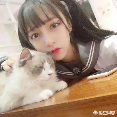 有没有猫咪和女生头像？