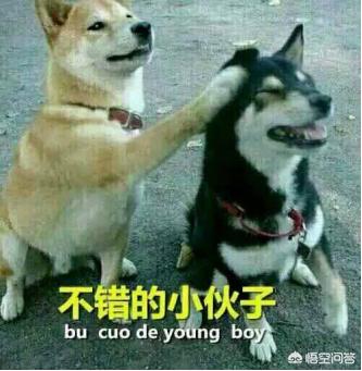 现在用什么音乐App好？