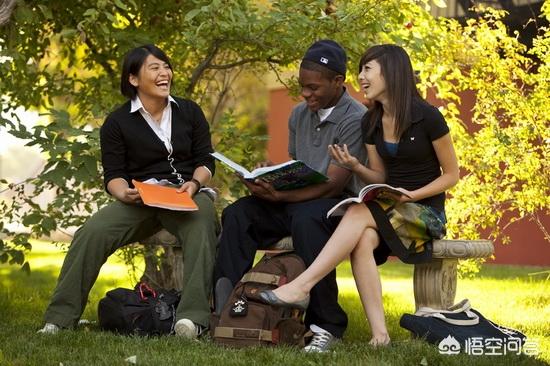 一只狗的大学生活精彩完整视频:你在大学生活里有什么遗憾？