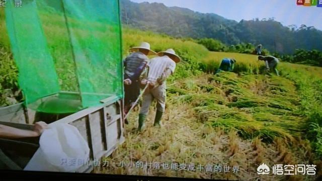 俗话说,男人三十而立。具体是立什么？