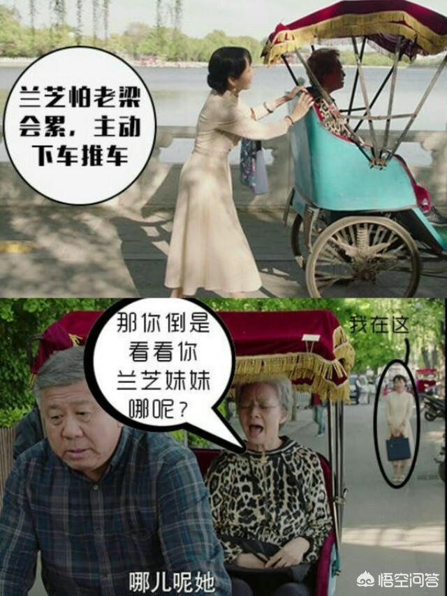 美丽俏佳人王婧:《美好生活》中的刘兰芝一直不工作，她的经济来源是什么？