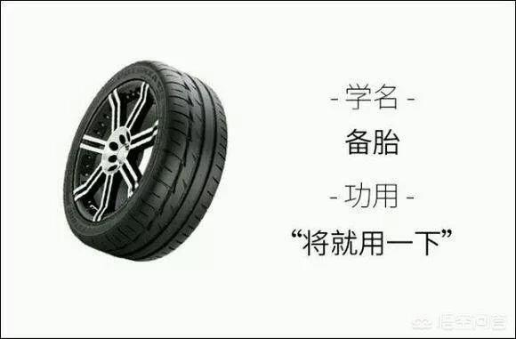 张柏芝新欢:为什么说：“谁的新欢不是别人的旧爱”呢？