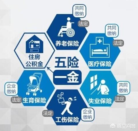 现在实施的“五险二金”的比例分别是多少？