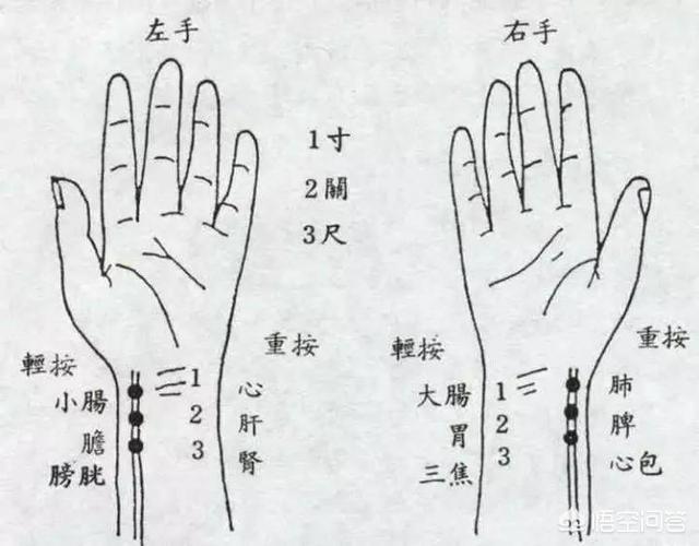 左手臂经络图解大图图片