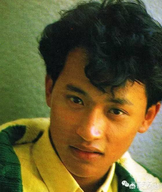 陈志朋像张国荣:为什么张国荣和陈志朋长得很像