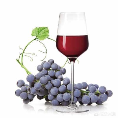 自酿葡萄酒能放多久，自己酿的红酒能保存多久？