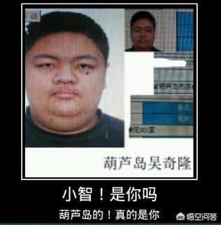 伊芙蕾雅照片:LOL小智解说的时候捧红了多少人