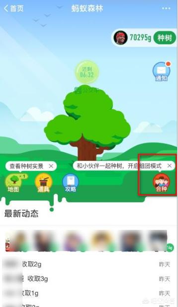 支付宝蚂蚁森林合种的树,得浇多少g水才能长大？