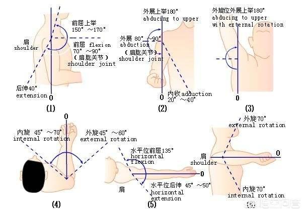 头条问答 