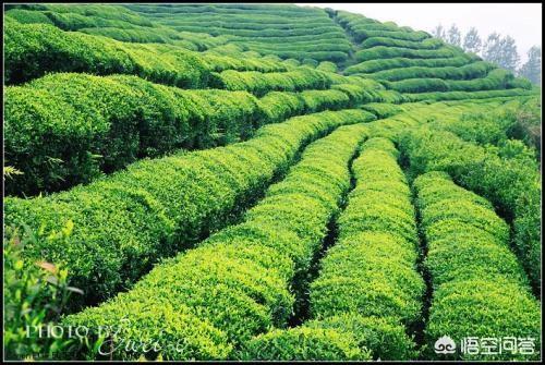 南平现在发展得怎么样？插图3