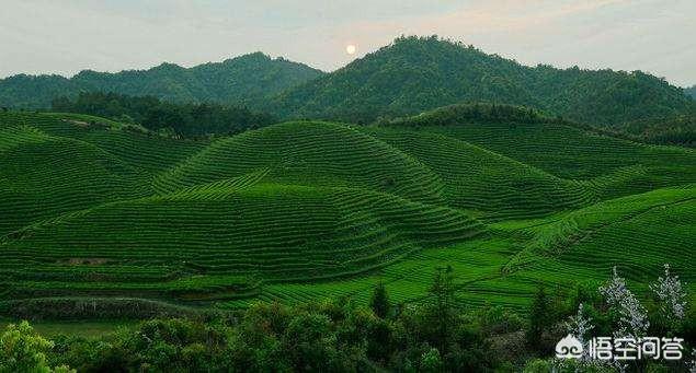 南平现在发展得怎么样？插图