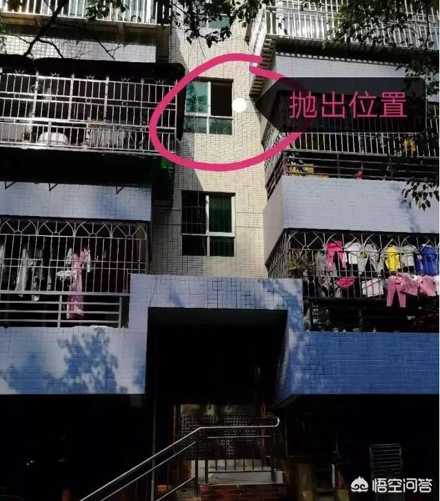 男子摔狗事件:宝鸡摔孩子男人怎么判刑？ 南京摔狗事件