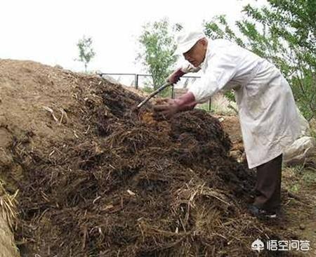 兔粪含肥量:兔粪有机质含量 兔粪、牛粪、鸡粪这三种有机肥哪种更适合大棚种植？