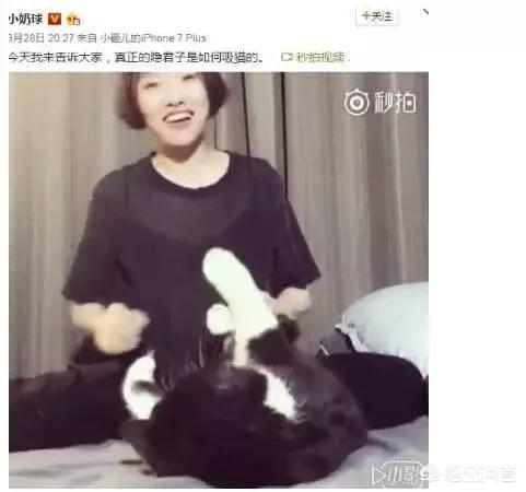 吸猫毒是什么情况警察为何抓:为什么有些年轻人“吸猫”成瘾？