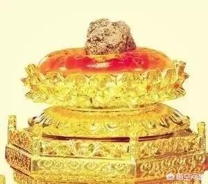 舍利子是什么？