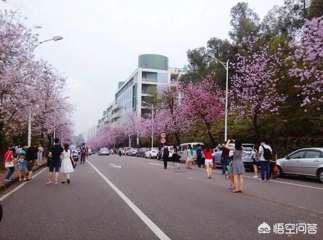 花都灵异事件地点排行:广州有哪些非常值得一去的地方？