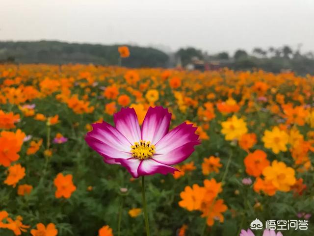 花都灵异事件地点排行:广州有哪些非常值得一去的地方？