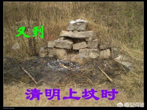 清理坟草禁忌,清明节快到了，上坟有哪些忌讳？
