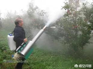 绿宝树 蚜虫:怎么防治果树的蚜虫、红蜘蛛？