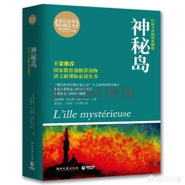 荒岛系列的小说？