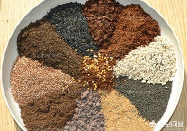 头条问答 装修用的沙子可以掺在花土中养花吗 14个回答