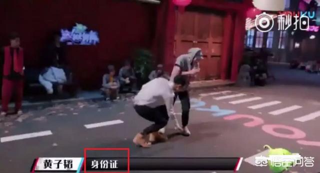好看的综艺节目:现在综艺节目谁的综艺感最好