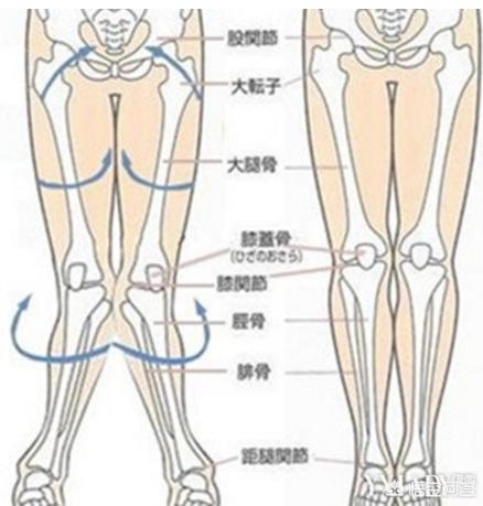 如何改善自己的X型腿？