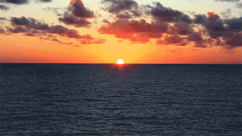 如何提升自己的品德、学问、才能和技艺？