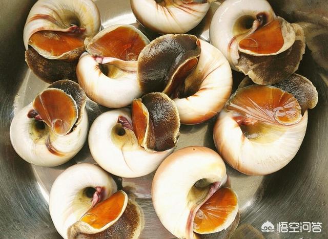 头条问答 - 酱爆蚍蛴怎么做?(3个回答)