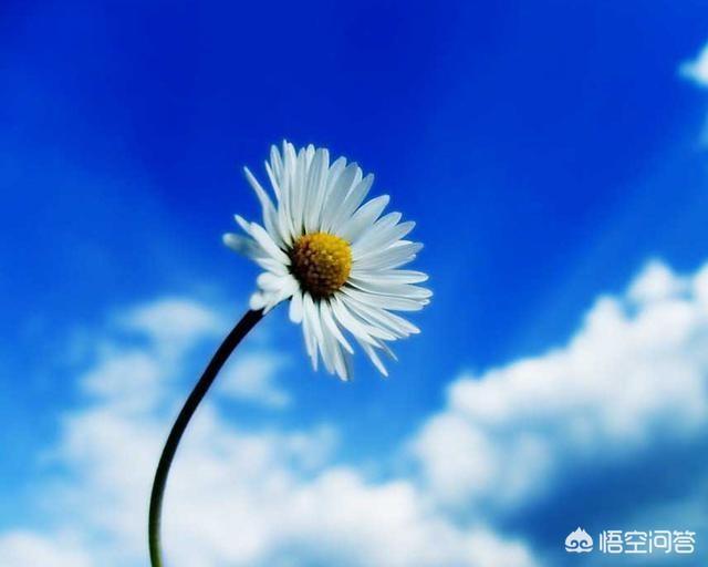 相亲加了微信怎么聊:和相亲的对象加了微信，感觉没话聊，想多了解该怎么办？