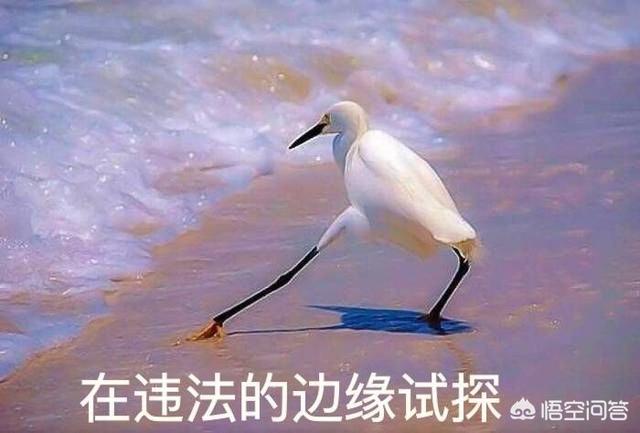 杨幂诈捐门:关于杨幂诈捐事件，你们怎么看
