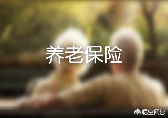 心海导航公众号查看结果:如何查询自己的社保缴费额？(如何查询社保缴费情况)