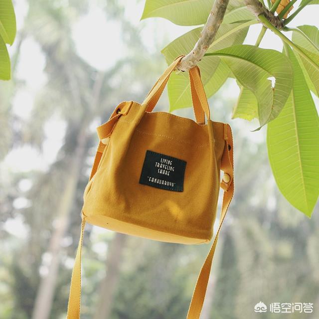 日本猫岛笼:一直想买个帆布包，有哪些国内牌子帆布包做的不错的？