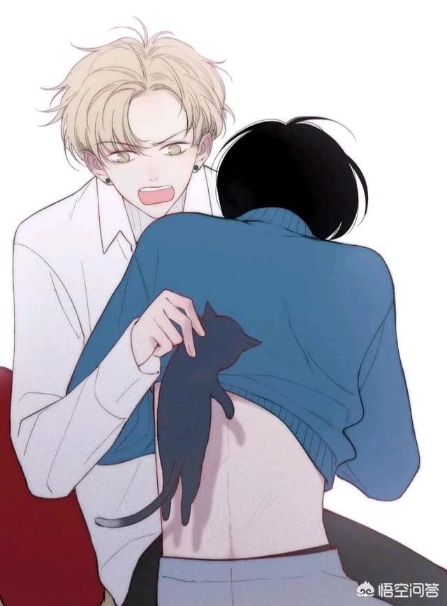 有没有耽美小说兄弟文兄攻？