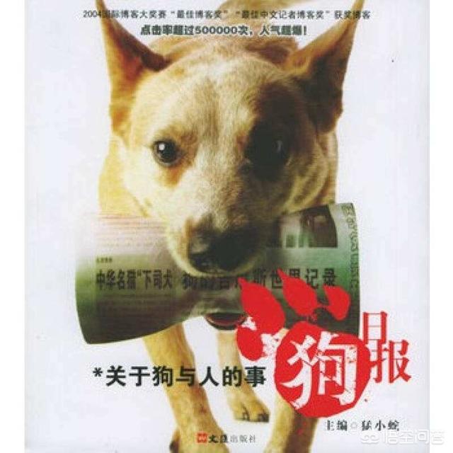 关于狗的故事:各种典故或故事中，有哪些人与狗的故事？ 关于狗的故事简短