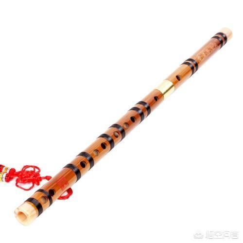 头条问答 学长笛好还是学竹笛好 32个回答
