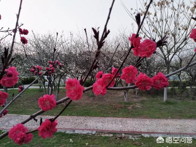 微信经常主动说一句话，你回了又没有下文的人是什么心理