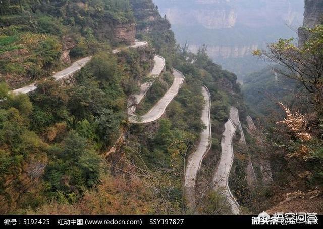 古今愤青的语言特点是什么？