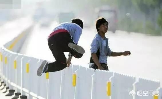 石家庄宠物狗:石家庄出条例遛狗不栓狗绳要罚款，你怎么看？你支持吗？ 石家庄宠物狗个人转让