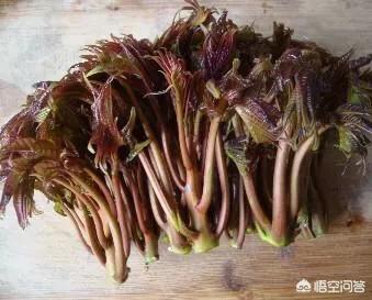 香椿煎蛋角怎么做？