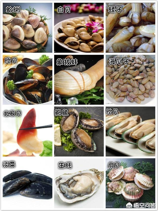 头条问答 贝壳类海鲜适合哪些人群食用 4个回答