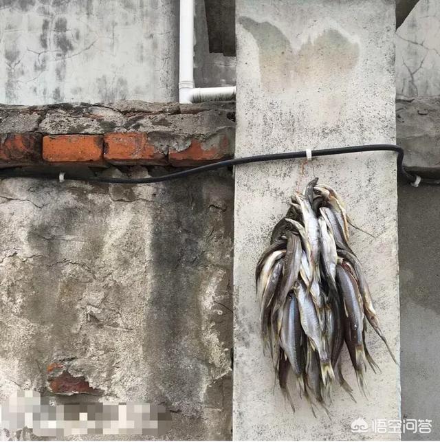 手机摄影如何拍出高大上的感觉