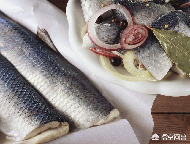 鲱鱼罐头有什么营养(瑞典为何每年能吃掉几百吨鲱鱼罐头，为什么会有人喜欢吃鲱鱼罐头呢