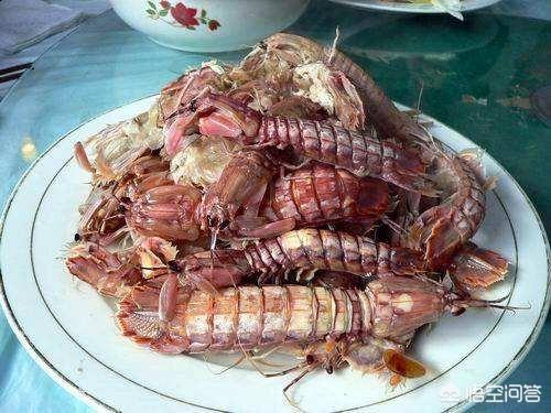 连云港海州区回应学生餐配送公司绞肉机有蛆虫：全面排查，连云港本地人吃海鲜一般都去哪里