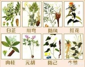 李时珍的资料:李时珍的《本草纲目》里，有哪些中草药？